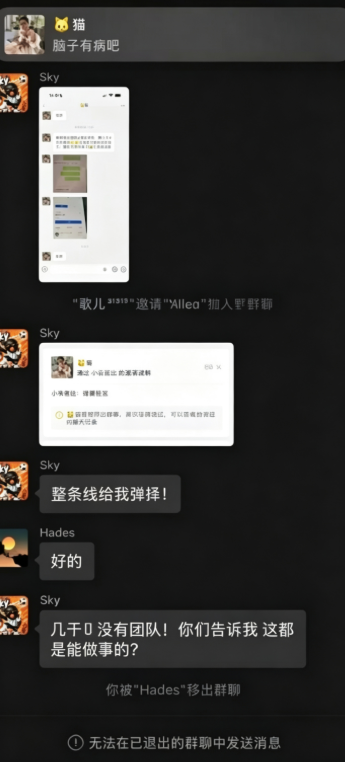 原文相关图片8