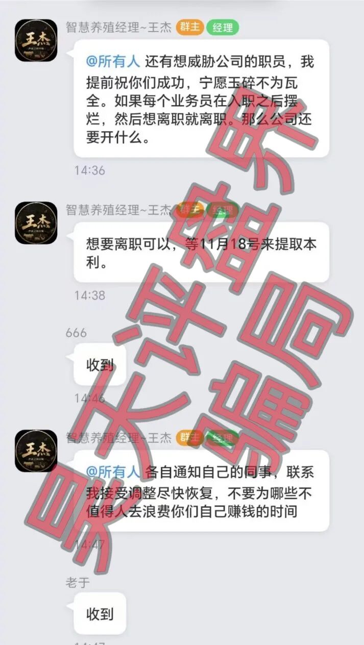 原文图片